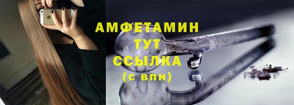 индика Вязьма